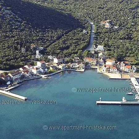 Ilonka * Drače